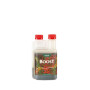 Boost Acelerator Canna