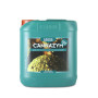 Cannazym Canna