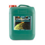 Cannazym Canna