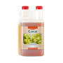 Coco A Canna