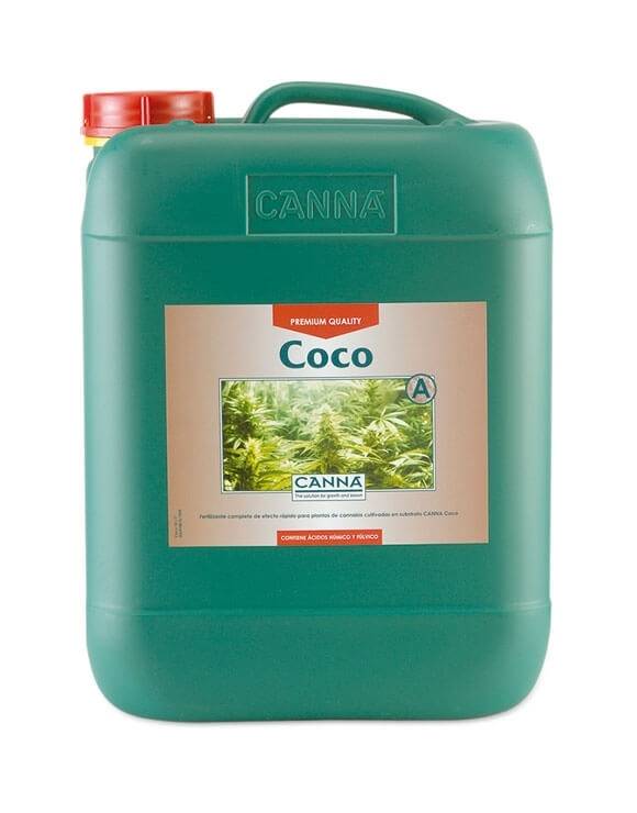 Coco A Canna