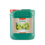 Coco A Canna