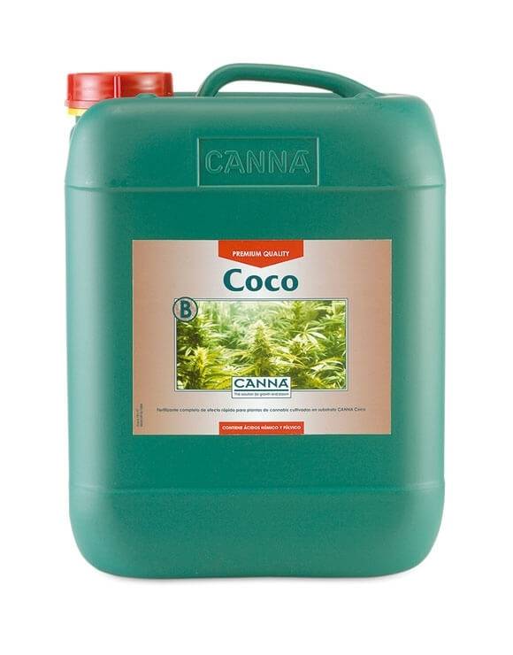 Coco A Canna