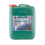 Rhizotonic Canna