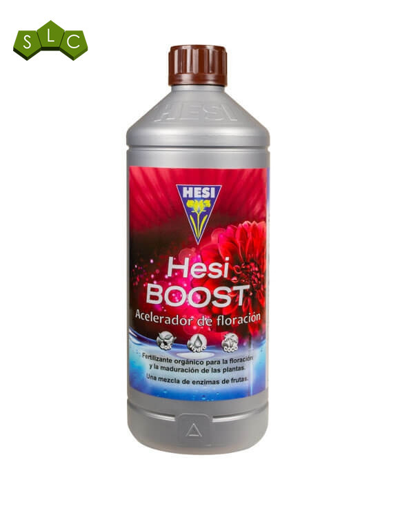 Boost Hesi