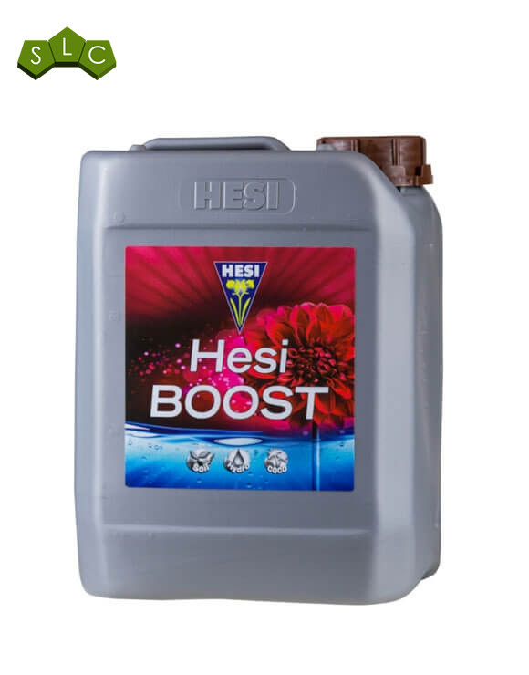 Boost Hesi