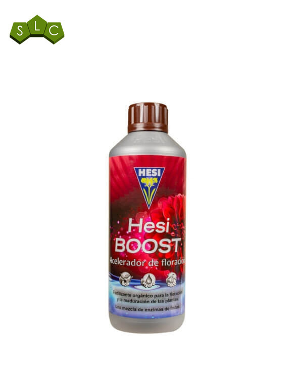 Boost Hesi