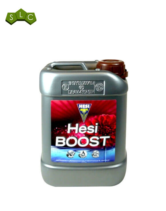 Boost Hesi