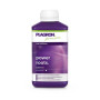 Power Roots Plagron