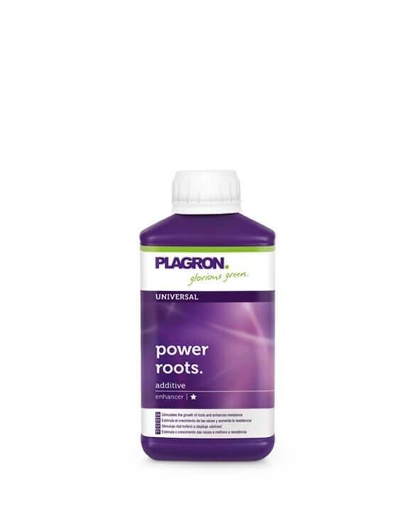 Power Roots Plagron