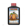 Top Bud Top Crop