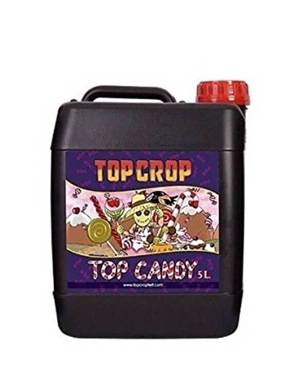 Top Candy Top Crop