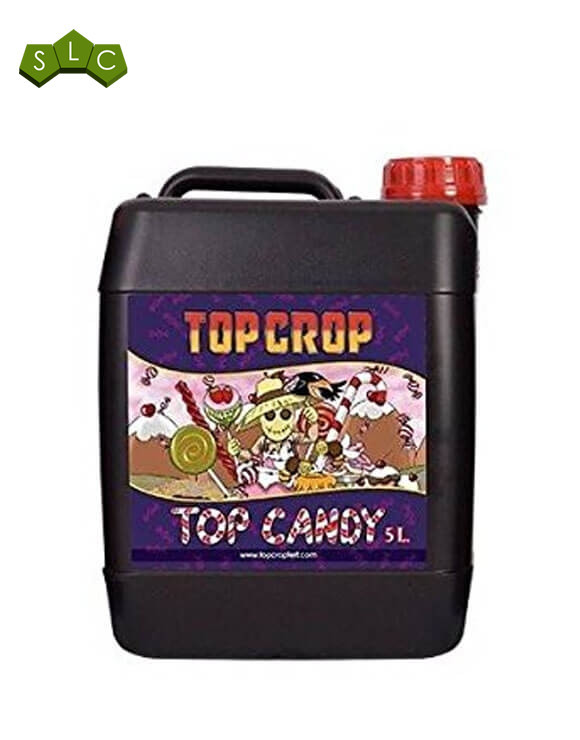 Top Candy Top Crop