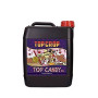 Top Candy Top Crop