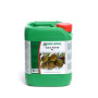 Coco Forte A Bio Nova