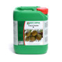 Coco Forte A Bio Nova