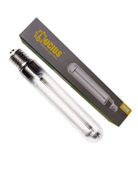 Bombilla Lucius 600W