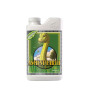 Ancient Earth Organic