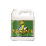 Ancient Earth Organic