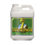 Ancient Earth Organic