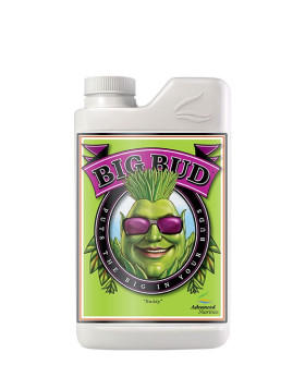 BIG BUD