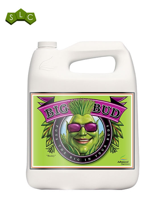 BIG BUD