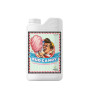 Bud Candy