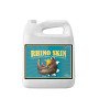 Rhino Skin