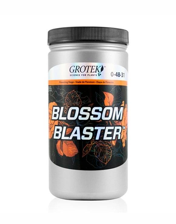 Blossom Blaster Grotek
