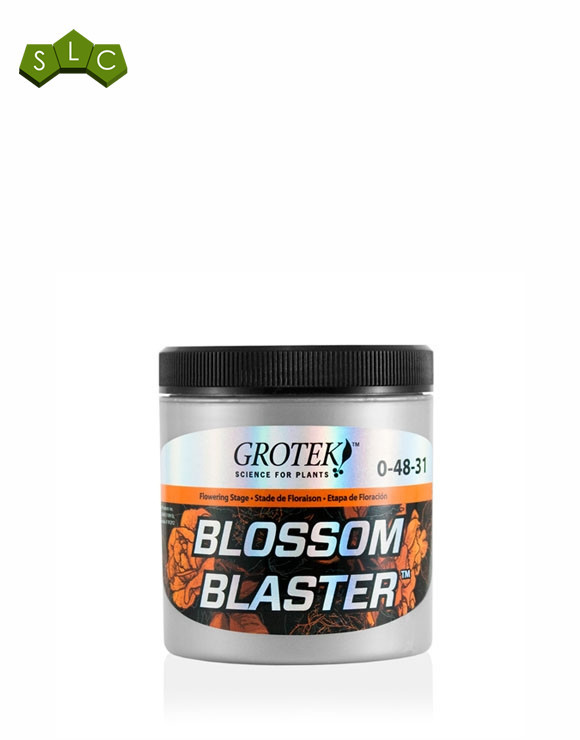 Blossom Blaster Grotek