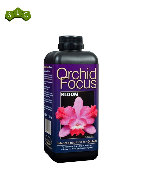 Orchid Focus Bloom Growth Technology