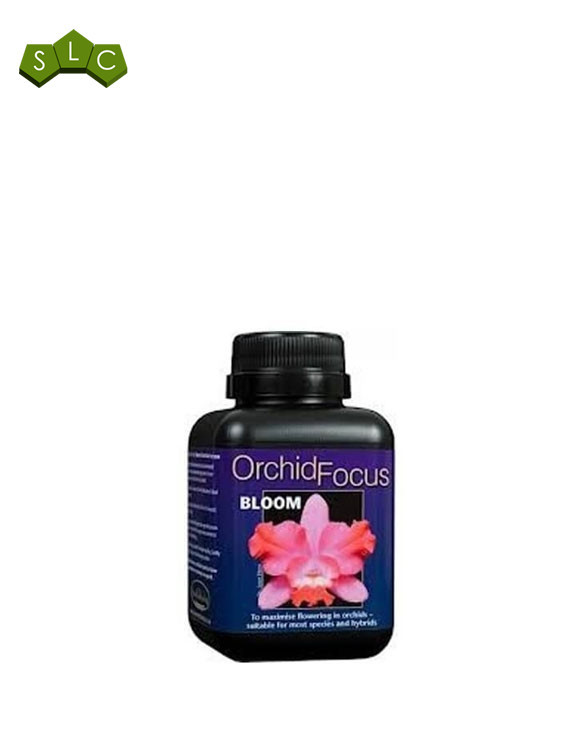 Orchid Focus Bloom Growth Technology