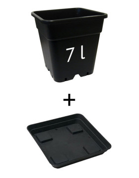 Maceta + plato - 7 litros