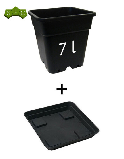 Maceta + plato - 7 litros