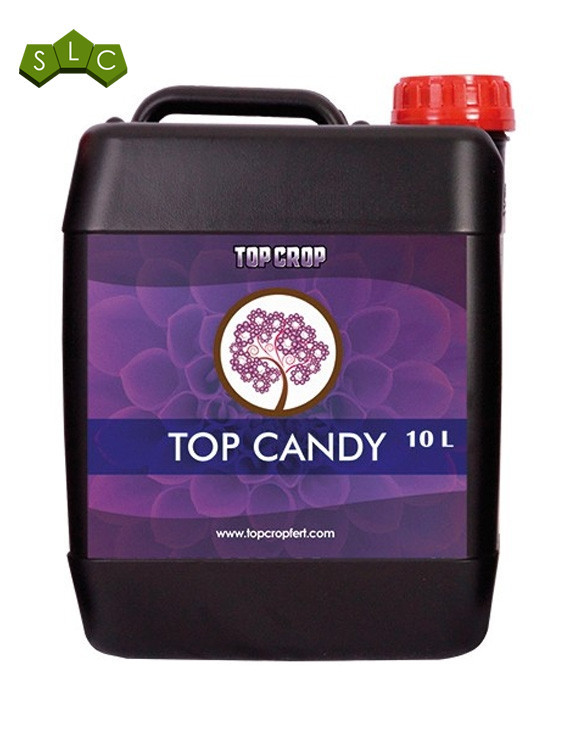 Top Candy Top Crop