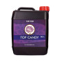 Top Candy Top Crop