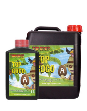 Top Coco A Top Crop