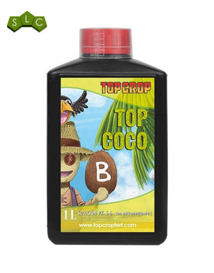 Top Coco B Top Crop