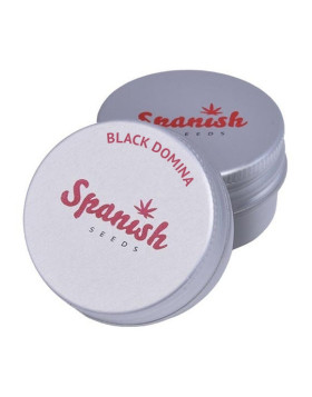 BlackDomina