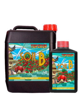 Soil B Top Crop