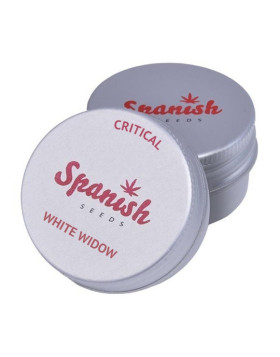 Critical Widow Spanish Seeds 50 ud.