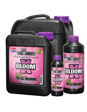 X-Bloom
