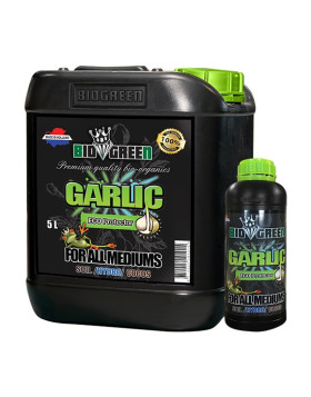 Garlic - Extracto ajo