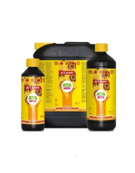 ATA NRG Bloom-C