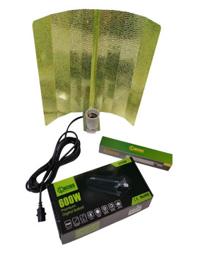 Kit Ever Light 600W