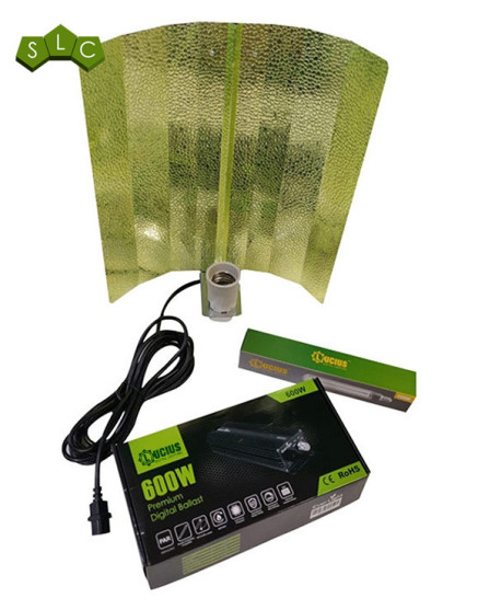 Kit Ever Light 600W