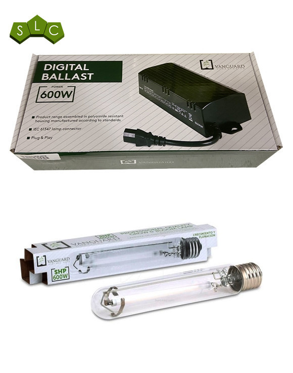 Kit electrónico de 600W barato - Vanguard