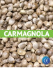 Semillas de Cáñamo Carmagnola Certificadas
