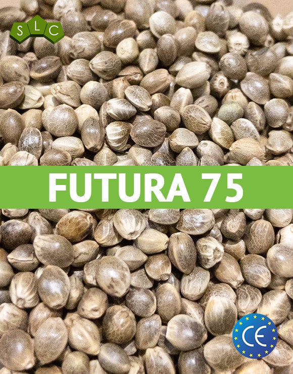 Futura 75 Certificadas (25 kg)