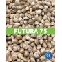 Futura 75 Certificadas (25 kg)